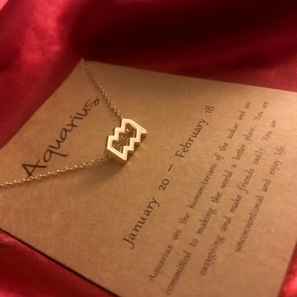 Aquarius Charm Minimalist Boho Cute Gift Necklace - Picture 8 of 13